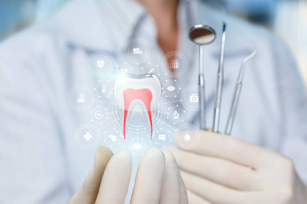 Best Preventive Dentistry  in Tanglewilde, WA